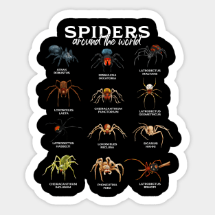 Spiders in the world - types of spiders Sticker